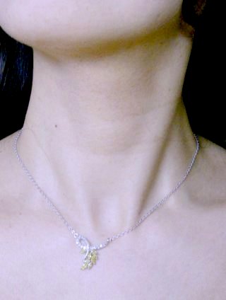 �L���[�r�b�N�W���R�j�A�@�y���_���g