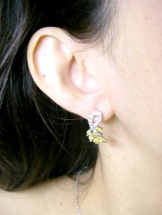 CZ�@�L���[�r�b�N�W���R�j�A�@�C�G���[�s�A�X�@�C�������O