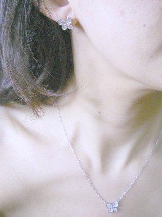 �}�C�N���p���F�Z�b�e�B���O�@�o�^�t���C�@�C�������O