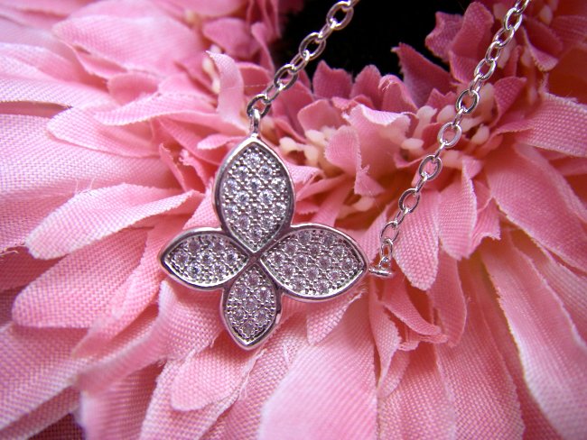 �}�C�N���p���F�@�L���[�r�b�N�W���R�j�A�@�y���_���g�@�o�^�t���C���`�[�t