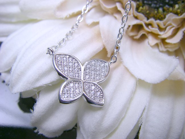 �}�C�N���p���F�@�L���[�r�b�N�W���R�j�A�@�y���_���g�@�o�^�t���C���`�[�t