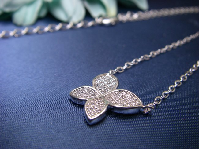 �}�C�N���p���F�@�L���[�r�b�N�W���R�j�A�@�y���_���g�@�o�^�t���C���`�[�t