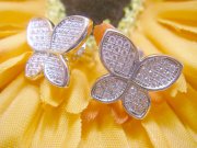 CZ�@�L���[�r�b�N�W���R�j�A�̃u���[�`