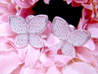 �}�C�N���p���F�Z�b�e�B���O�@�o�^�t���C�@�C�������O