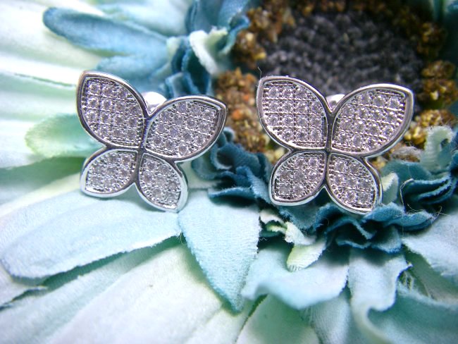 �}�C�N���p���F�Z�b�e�B���O�@�o�^�t���C�@�C�������O