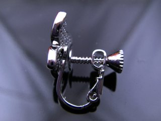 �}�C�N���p���F�Z�b�e�B���O�@�o�^�t���C�@�C�������O