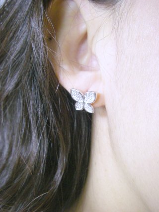 �}�C�N���p���F�Z�b�e�B���O�@�o�^�t���C�@�C�������O