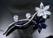 CZ�@�L���[�r�b�N�W���R�j�A�̃u���[�`