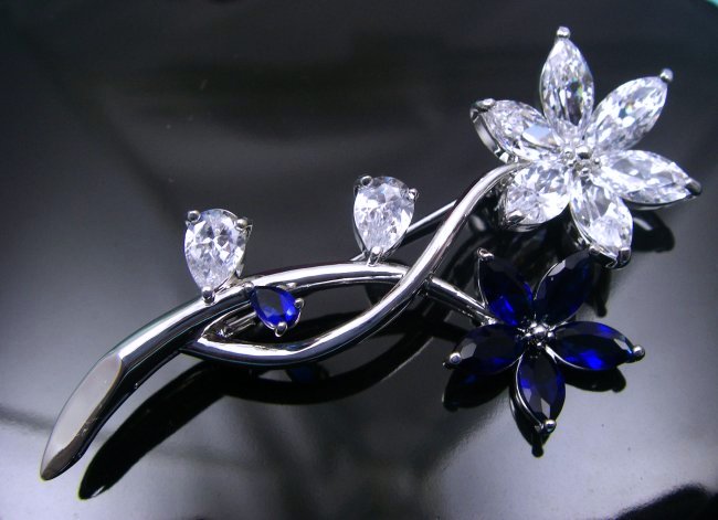 �u���[�`�@CZ�A�N�Z�T���[�@�t�����[���`�[�t