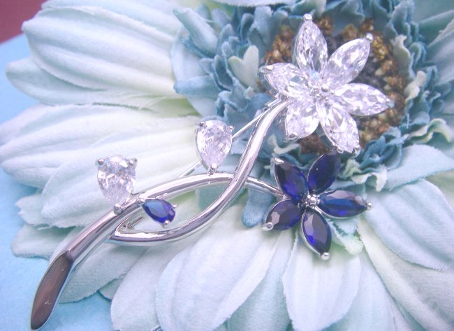 �u���[�`�@CZ�A�N�Z�T���[�@�t�����[���`�[�t