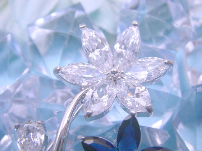 �u���[�`�@CZ�A�N�Z�T���[�@�t�����[���`�[�t