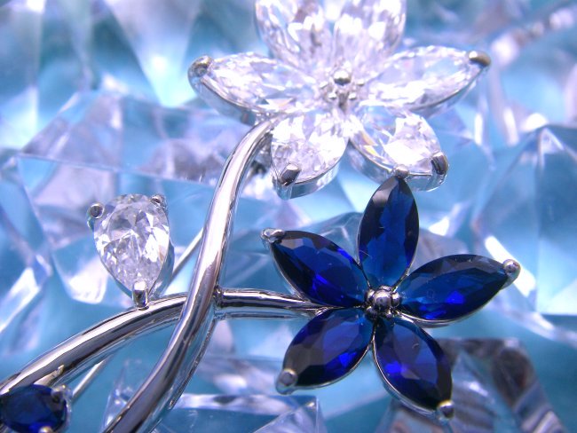 �u���[�`�@CZ�A�N�Z�T���[�@�t�����[���`�[�t