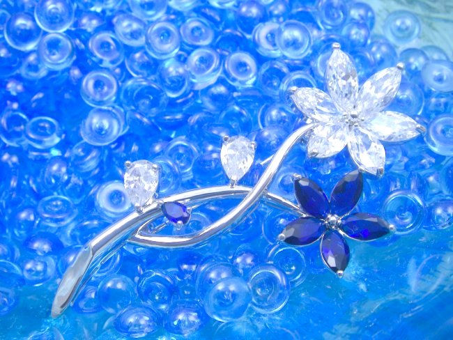 �u���[�`�@CZ�A�N�Z�T���[�@�t�����[���`�[�t