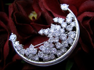 CZ�@SV�L���[�r�b�N�W���R�j�A�@�u���[�`�@��