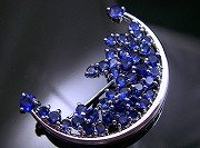 CZ�@�L���[�r�b�N�W���R�j�A�̃u���[�`�@��