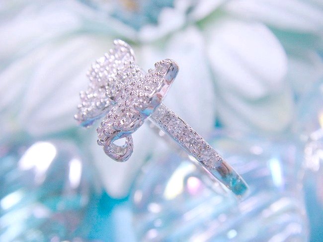 ���{�����`�[�t�@�����O�@�L���[�r�b�N�W���R�j�A�E�A�N�Z�T���[