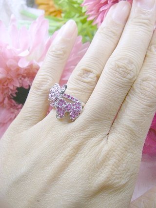 ���{�����`�[�t�@�����O�@�L���[�r�b�N�W���R�j�A�E�A�N�Z�T���[