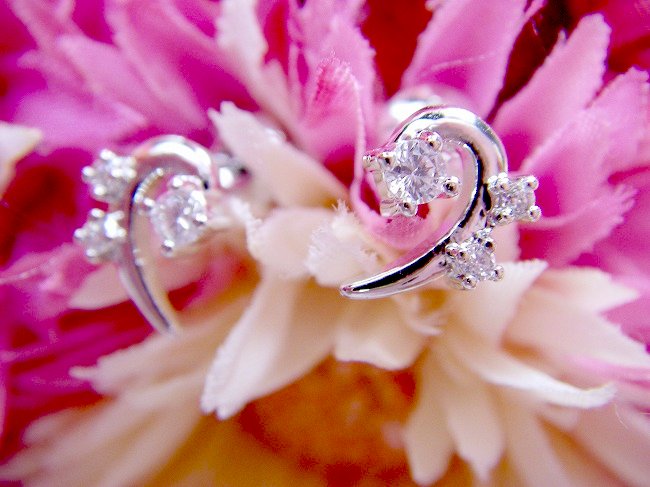 CZ�@�L���[�r�b�N�W���R�j�A�@�C�������O