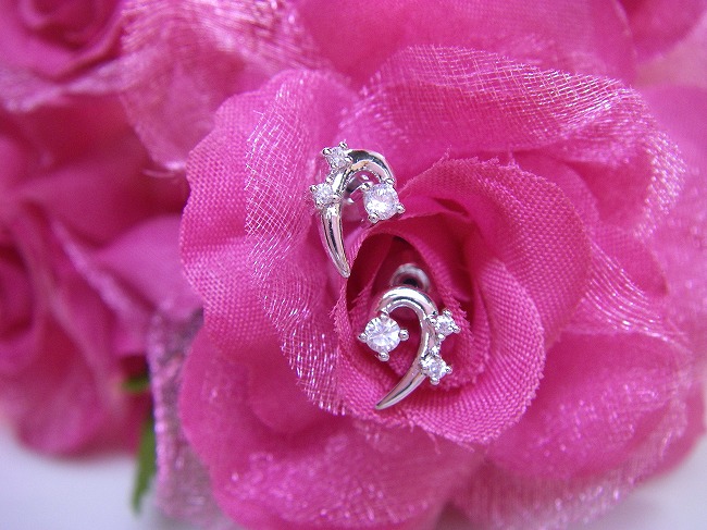 CZ�@�L���[�r�b�N�W���R�j�A�@�C�������O