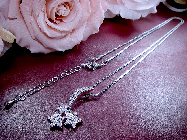 ���[���@�X�^�[�@�y���_���g