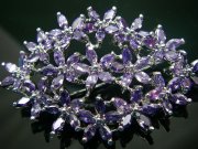 CZ�@�L���[�r�b�N�W���R�j�A�̃u���[�`