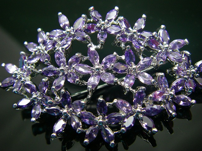 �u���[�`�E�A�N�Z�T���[