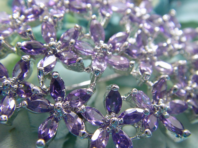 �u���[�`�E�A�N�Z�T���[