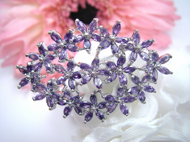 �u���[�`�E�A�N�Z�T���[