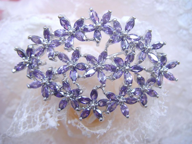 �u���[�`�E�A�N�Z�T���[