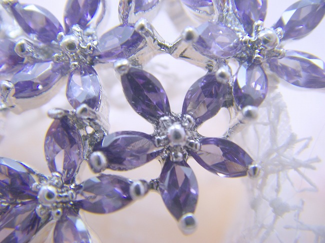 �u���[�`�E�A�N�Z�T���[