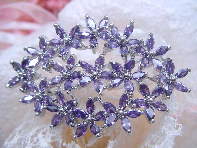 �u���[�`�E�A�N�Z�T���[