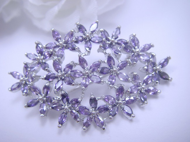 �u���[�`�E�A�N�Z�T���[