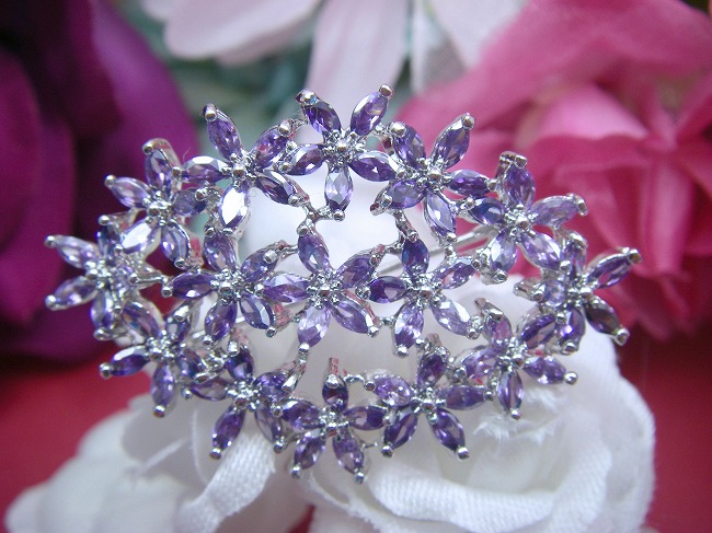 �u���[�`�E�A�N�Z�T���[