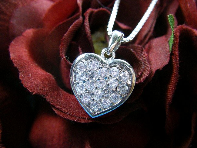 CZ�@�L���[�r�b�N�W���R�j�A�@�y���_���g�@�n�[�g�@�p���F