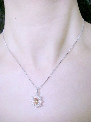 �y���_���g�@�@�A�N�Z�T���[