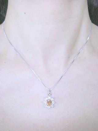 �y���_���g�@�@�A�N�Z�T���[