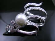 �p�[���@�u���[�`