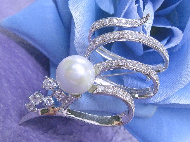 �p�[���@�u���[�`