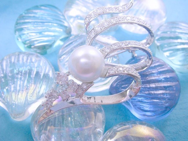 �p�[���@�u���[�`