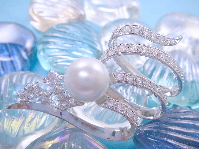 �p�[���@�u���[�`