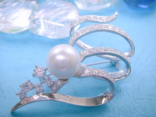 �p�[���@�u���[�`