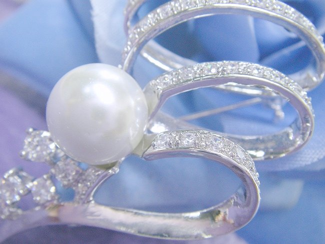 �p�[���@�u���[�`