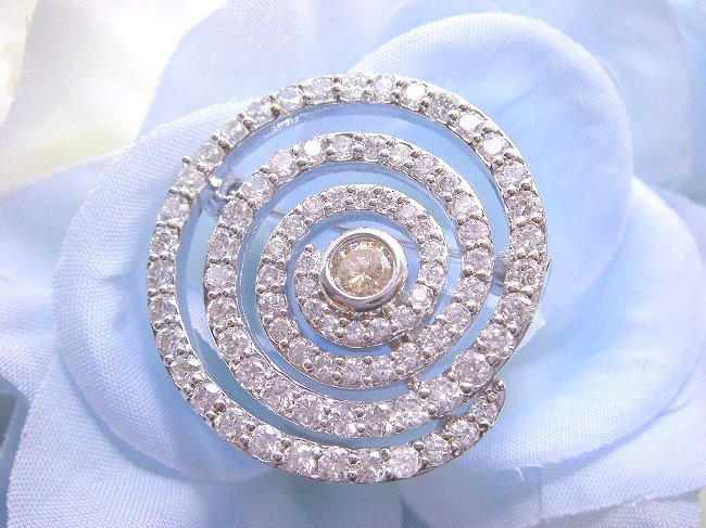 �t�����[���`�[�t�@�u���[�`