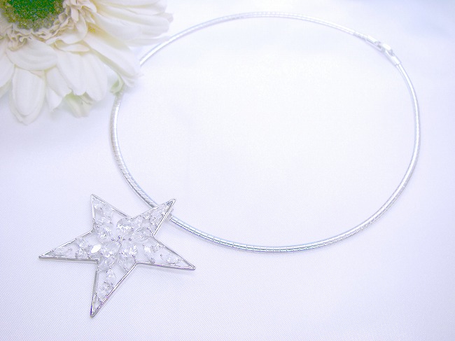 cz�A�N�Z�T���[�@�I���K�E�l�b�N���X �����`�[�t