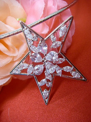 cz�A�N�Z�T���[�@�I���K�E�l�b�N���X �����`�[�t