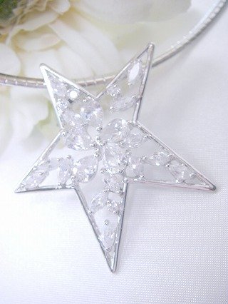 cz�A�N�Z�T���[�@�I���K�E�l�b�N���X �����`�[�t