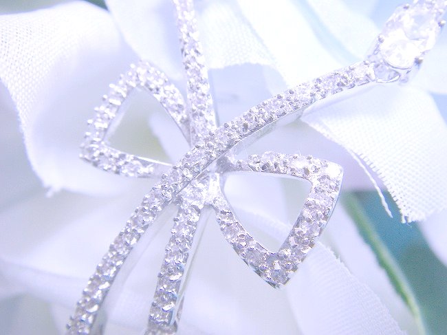 ���{�����`�[�t�@�L���[�r�b�N�W���R�j�A�E�l�b�N���X