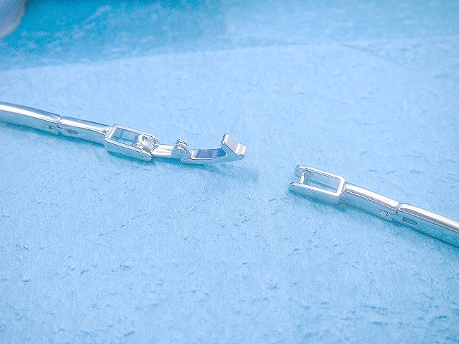 ���{�����`�[�t�@�L���[�r�b�N�W���R�j�A�E�l�b�N���X