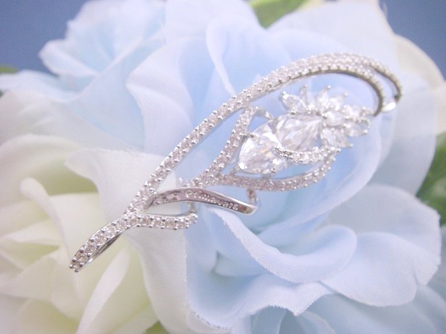 �t�����[���`�[�t�@�u���[�`