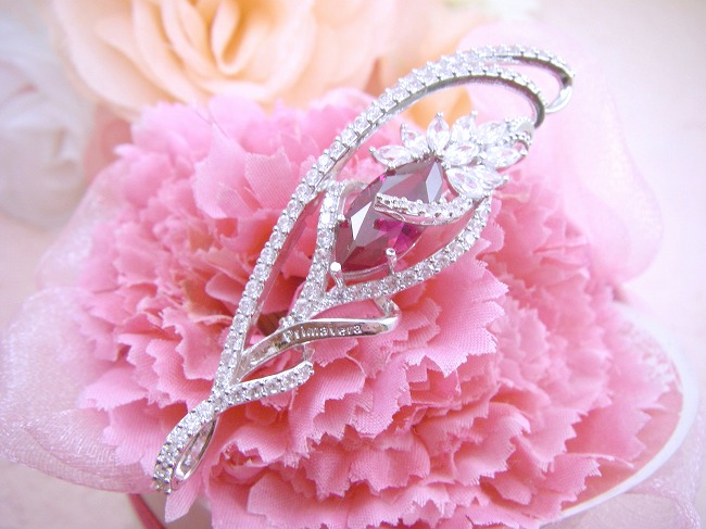 �t�����[���`�[�t�@�u���[�`